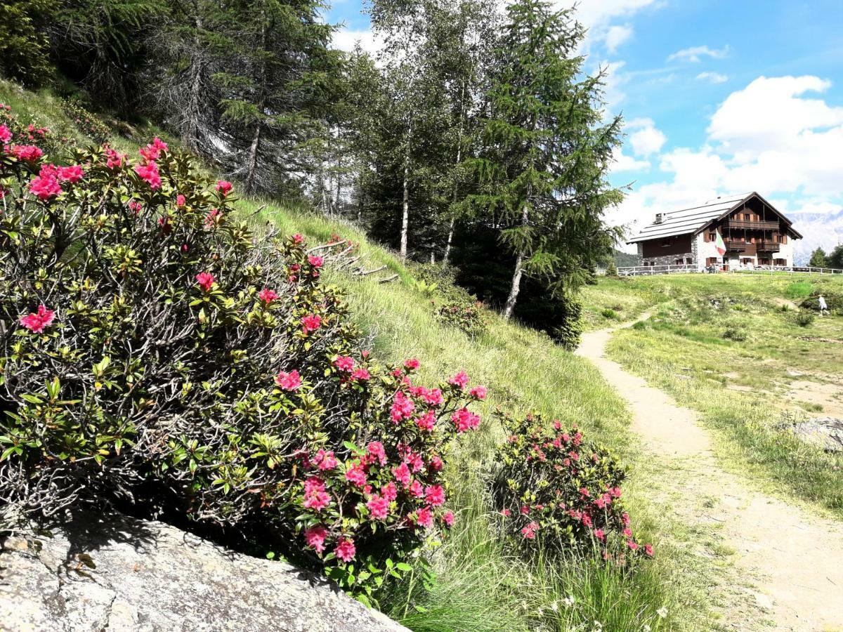 Rifugio Al Lago Del Mortirolo In Inverno Raggiungibile Solo A Piedi Monno ภายนอก รูปภาพ